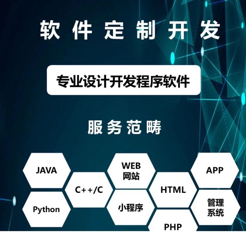 探寻专业网站制作公司的魅力